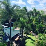 Pool and Garden view