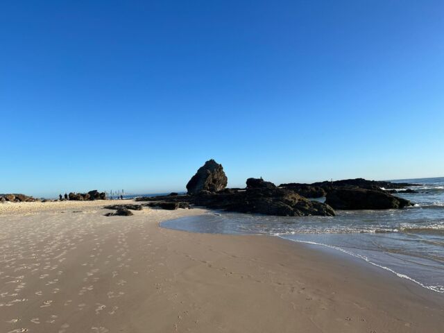 A gorgeous morning walk to the Alley today. Don’t forget the Sanctuary night food markets are on tonight. Happy Friday everyone! #sanctuarybeachresortcurrumbin #sanctuarymarkets #currumbin #currumbinbeach